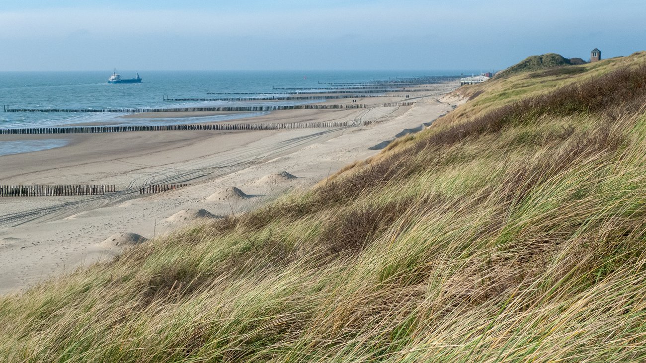 beach & dunes Zoutelande